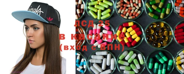 гашик Богородицк