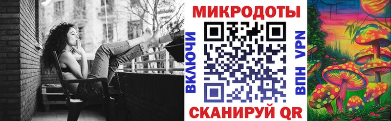 Псилоцибиновые грибы Psilocybine cubensis  цены   Брянск 